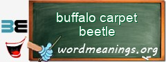 WordMeaning blackboard for buffalo carpet beetle